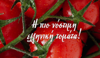“Poltos Ntomatas”, Doppelt konzentrierter Tomatenmark  - von Tomato Greka 410g