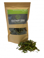 Griechische Bergminze aus dem Olymp (Mentha piperita) - OLYMP1200, 50g